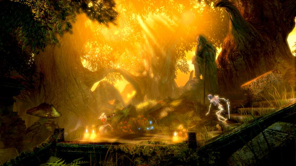 Trine Enchanted Edition GOG CD Key