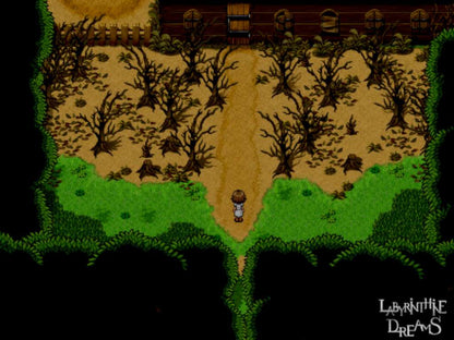Labyrinthine Dreams PC Steam CD Key