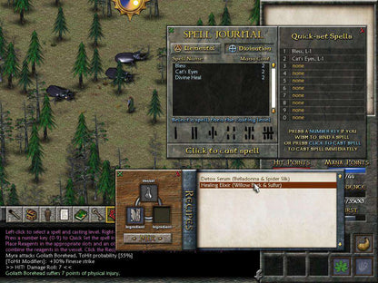 Eschalon Book II Steam CD Key