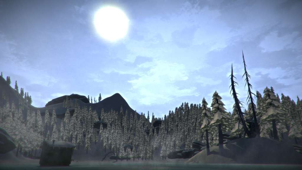 The Long Dark PC Steam Gift