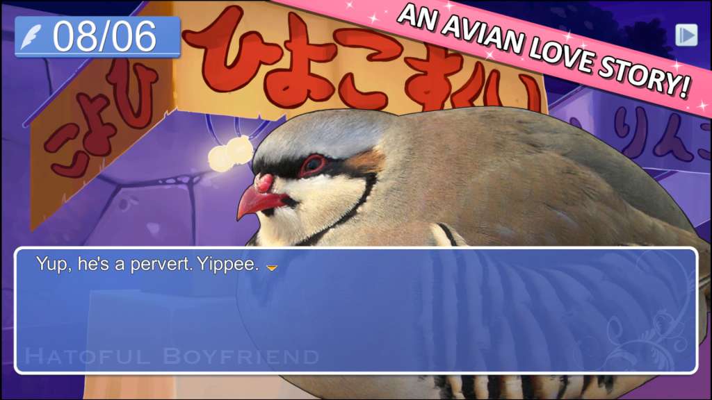 Hatoful Boyfriend Collector's Edition Steam CD Key