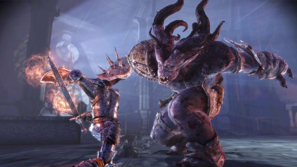 Dragon Age: Origins Steam Gift
