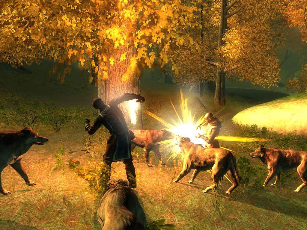 Drakensang Steam CD Key