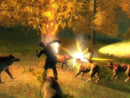 Drakensang Steam CD Key