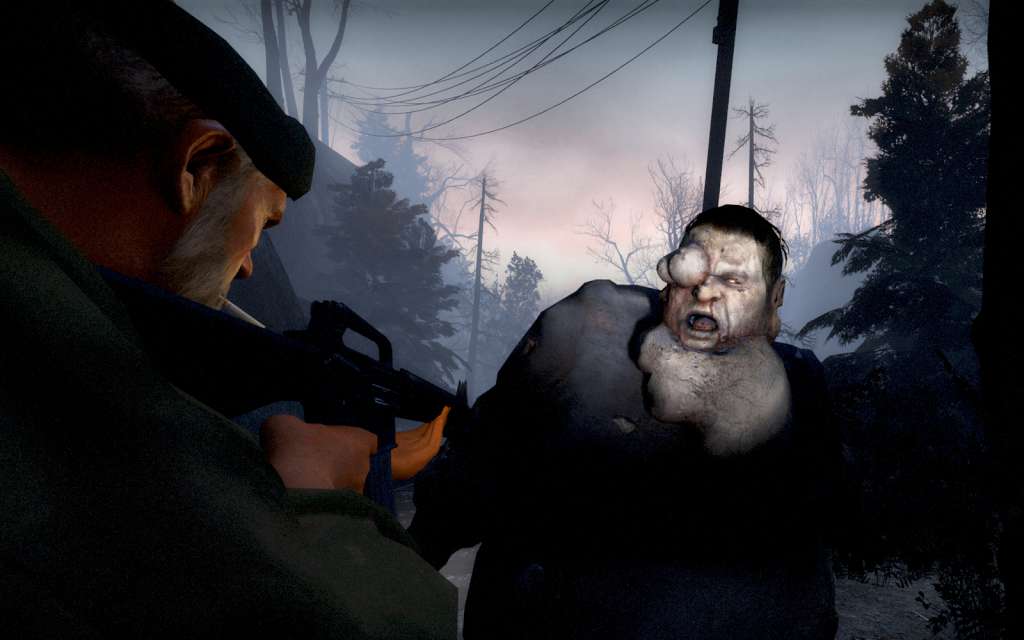 Left 4 Dead GOTY Steam Gift