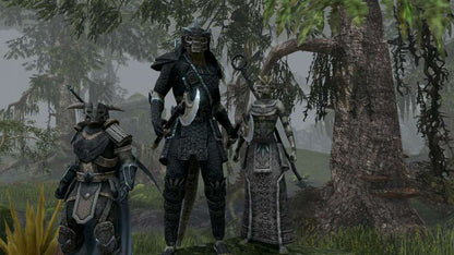 The Elder Scrolls Online -  Explorer's Pack DLC EU PS4 CD Key