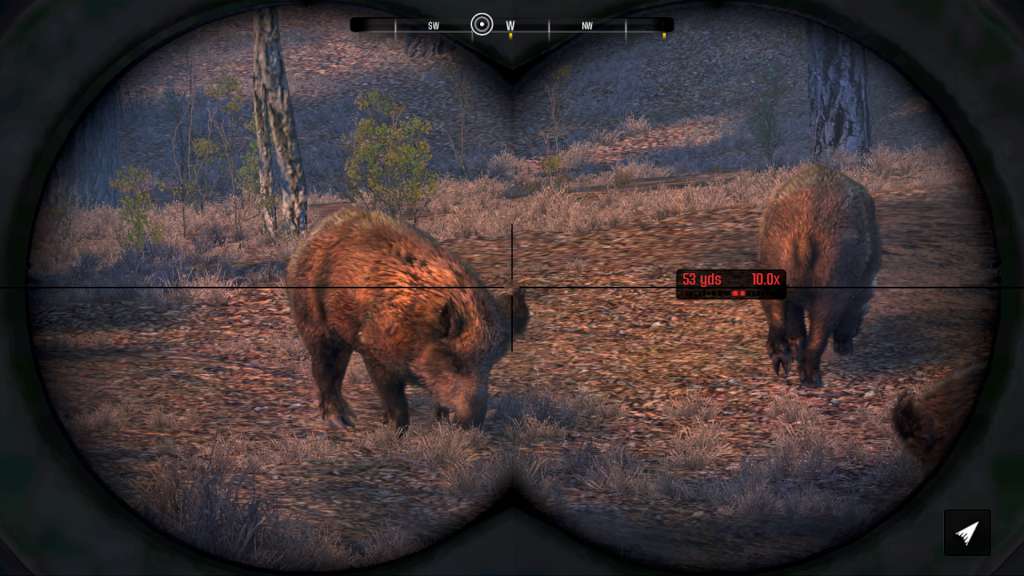 Cabela's Big Game Hunter Pro Hunts Steam CD Key