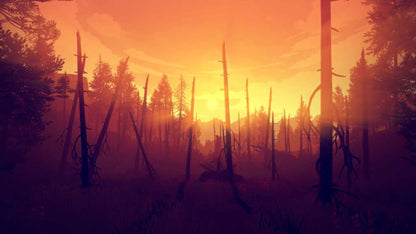 Firewatch PS4 Account