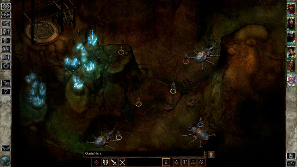 Icewind Dale: Enhanced Edition PC Steam CD Key