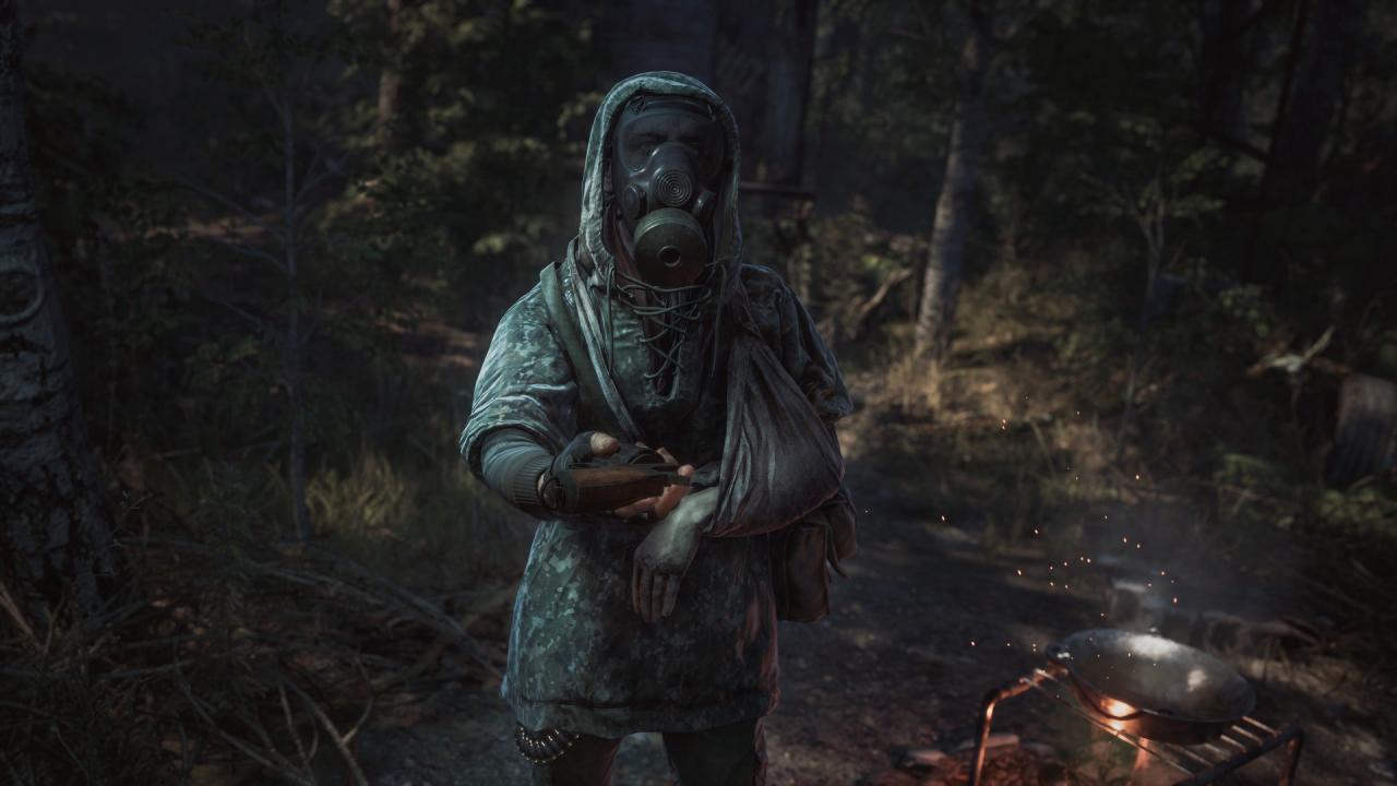Chernobylite PS5 Account