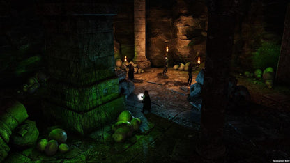 Solasta: Crown of the Magister PS5 Account