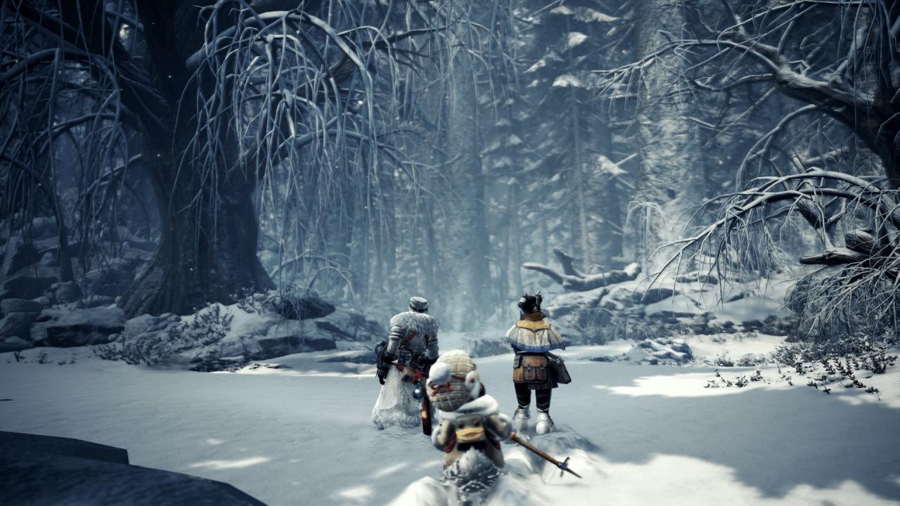 Monster Hunter World: Iceborne Master Edition PS4/PS5 Account