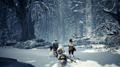 Monster Hunter World: Iceborne Master Edition PS4/PS5 Account