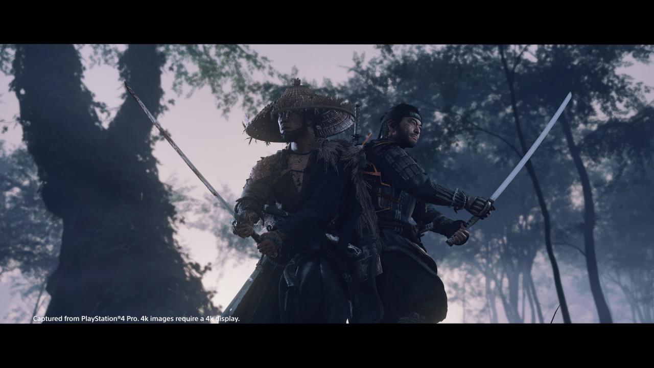 Ghost of Tsushima PS4/PS5 Online Account Activation