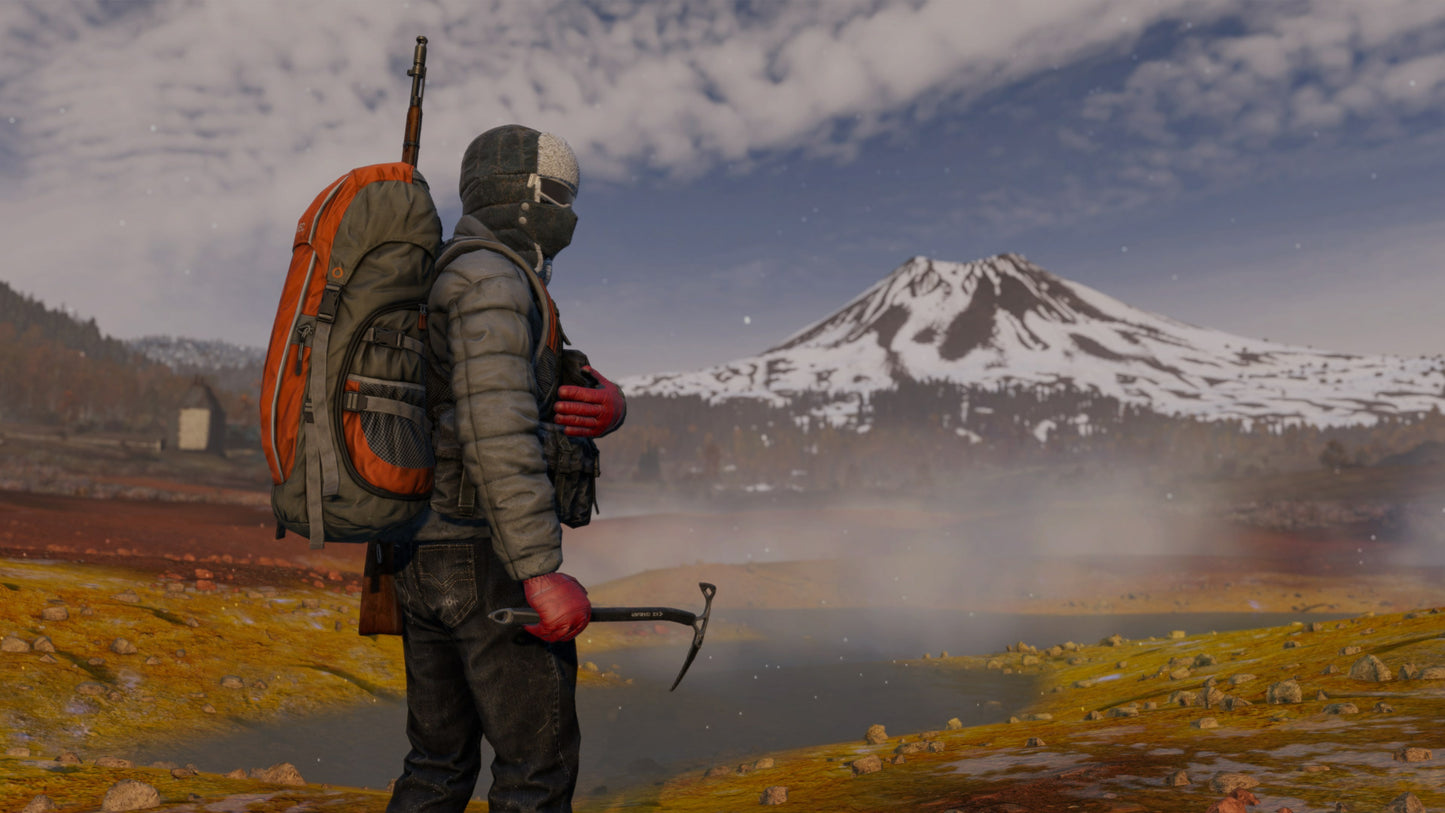 DayZ Cool Edition EU XBOX One / Xbox Series X|S CD Key