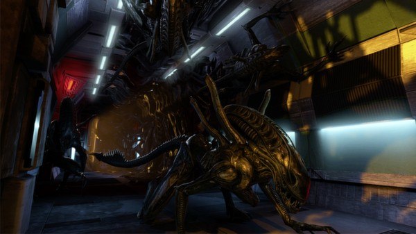 Aliens: Colonial Marines Steam CD Key