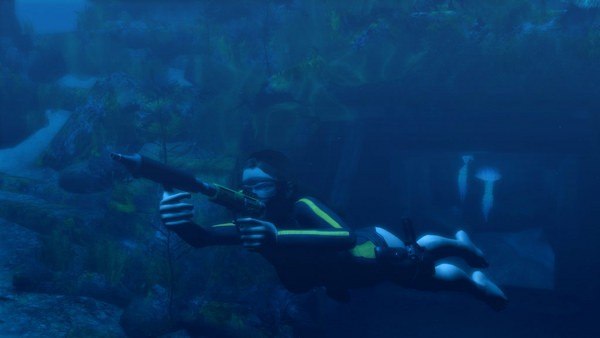 Tomb Raider: Underworld Steam Gift