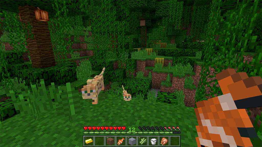 Minecraft Windows 10 Edition US PC CD Key