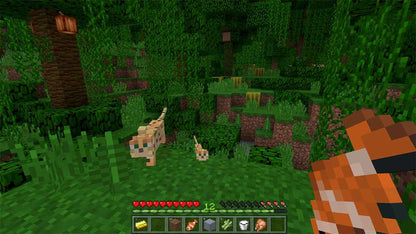 Minecraft Windows 10 Edition US PC CD Key
