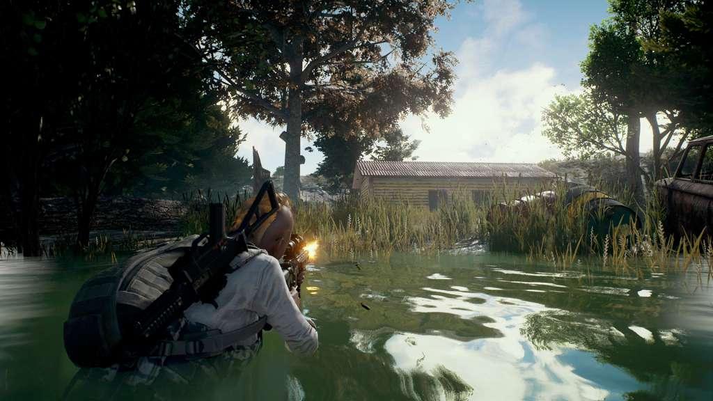 PUBG - Survivor Pass 3: Wild Card DLC RU VPN Activated Steam CD Key
