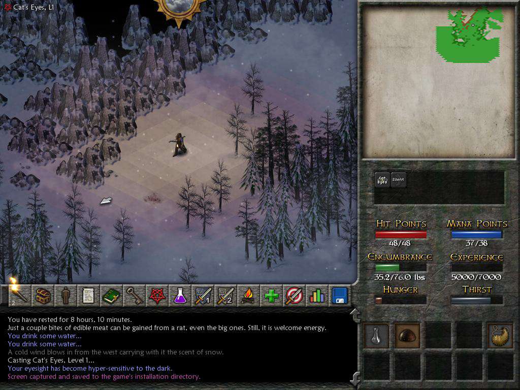 Eschalon Book II Steam CD Key