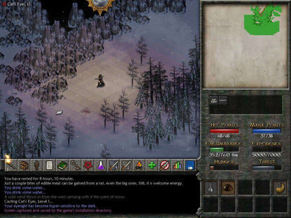 Eschalon Book II Steam CD Key