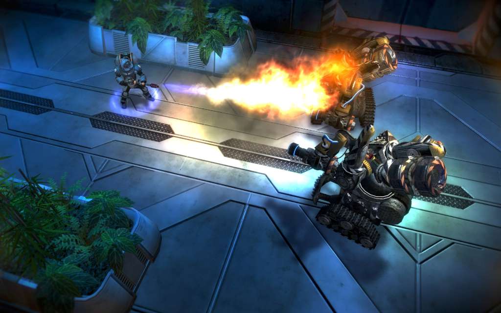 Greed: Black Border Steam CD Key