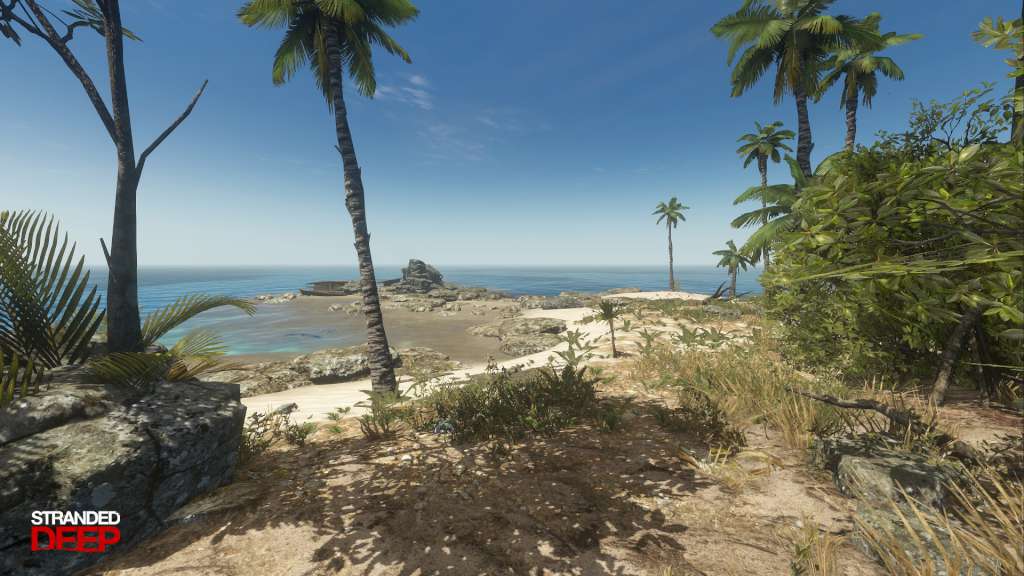 Stranded Deep PS4/PS5 Account