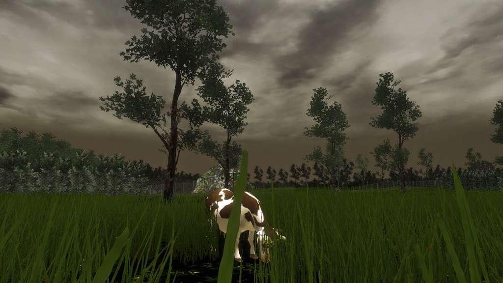 Grass Simulator Steam Gift