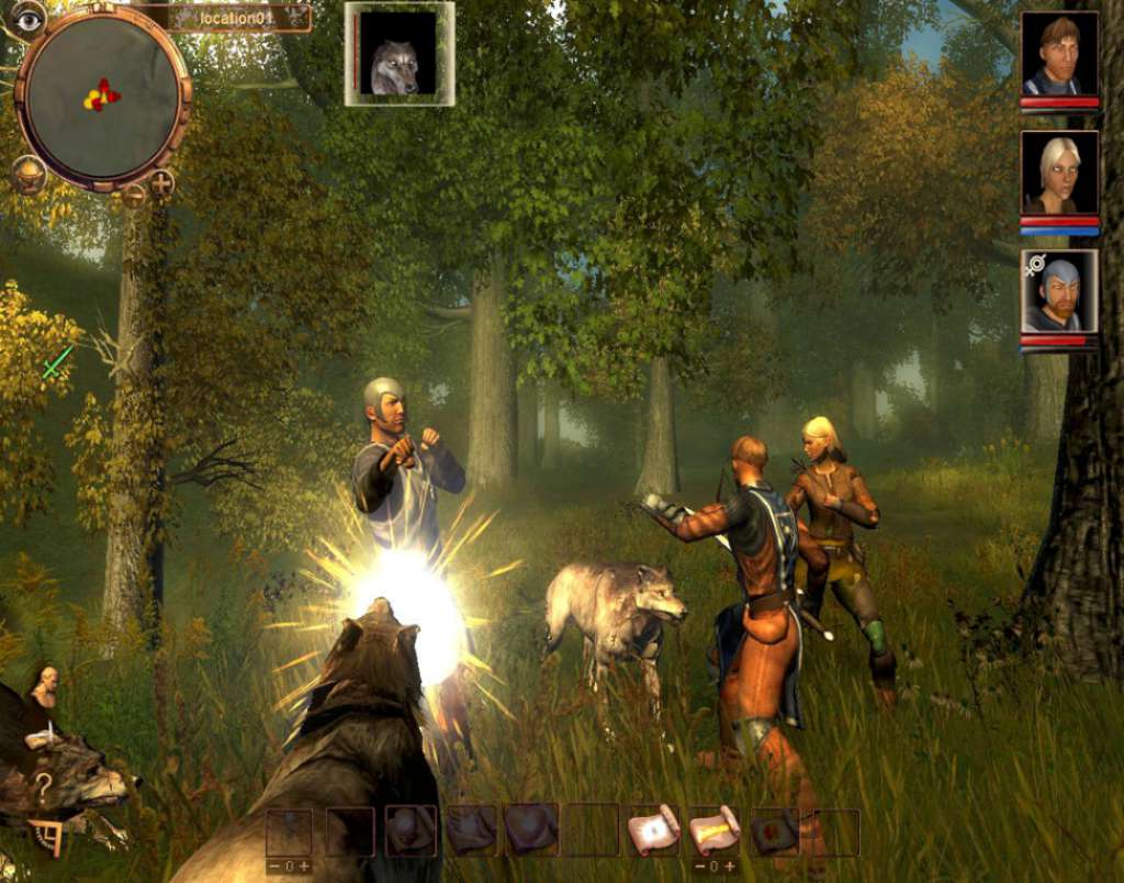 Drakensang Steam CD Key
