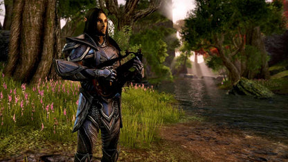 The Elder Scrolls Online -  Explorer's Pack DLC EU PS4 CD Key