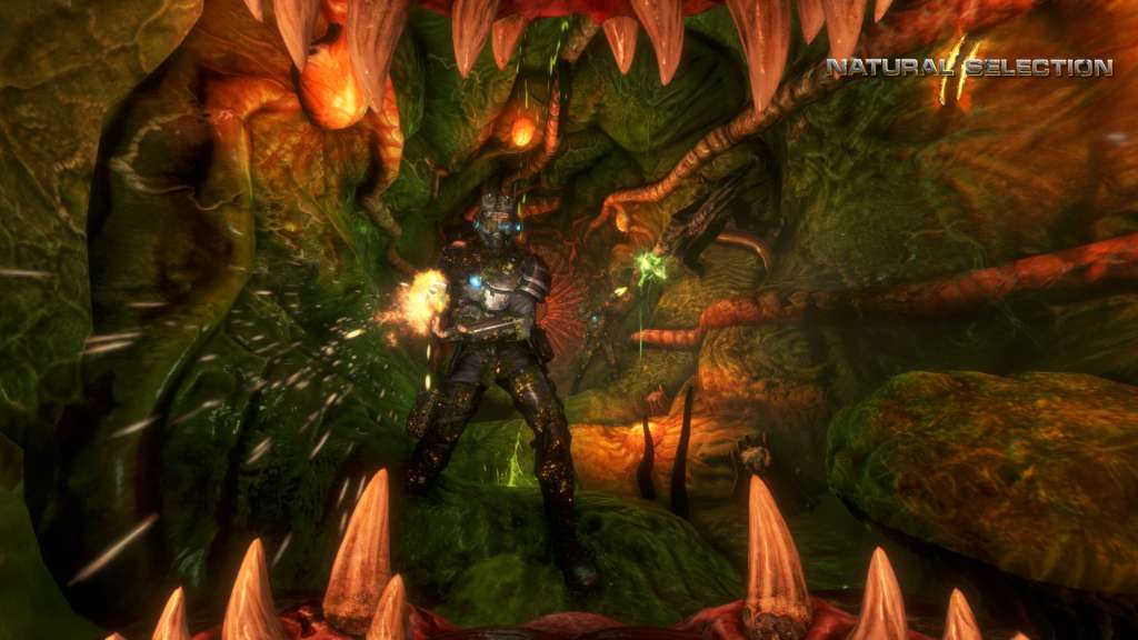 Natural Selection 2 Steam Gift