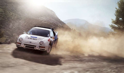 DiRT Rally South America PC Steam CD Key
