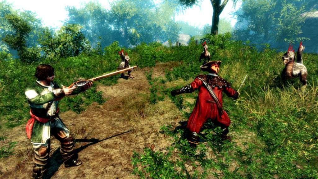Risen 2: Dark Waters Gold Edition Steam CD Key