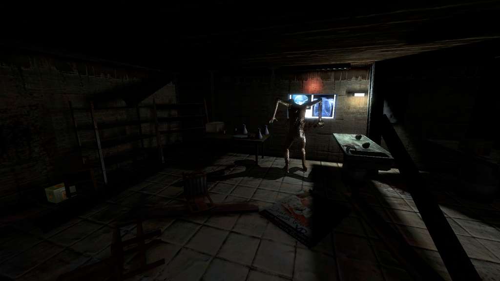 Into the Dark: Ultimate Trash Edition Steam CD Key