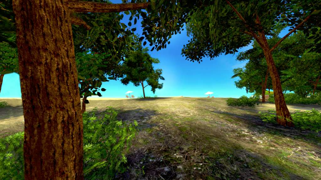 Paradise Island - VR MMO Steam CD Key