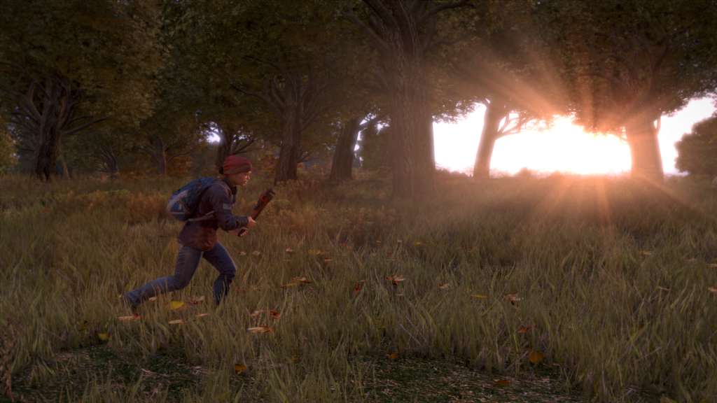 DayZ Deluxe Edition EU PC Steam CD Key