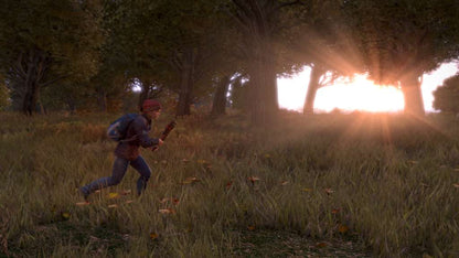 DayZ Deluxe Edition EU PC Steam CD Key