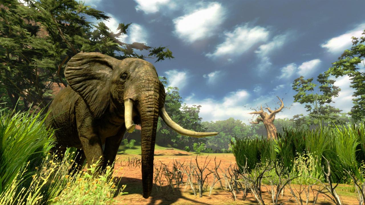Cabela's Hunting Expeditions Steam CD Key