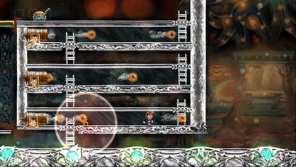 Braid Steam Gift