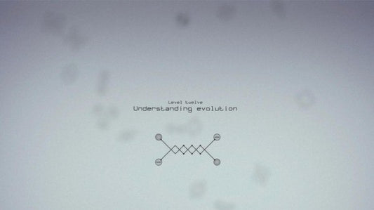 Circuits PC Steam CD Key