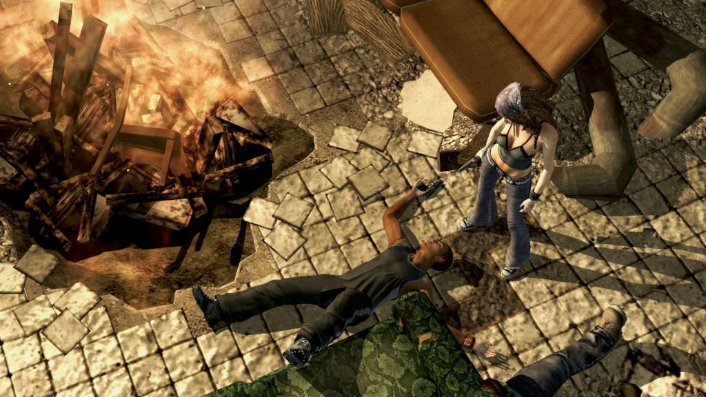 Saints Row 2 Steam Gift