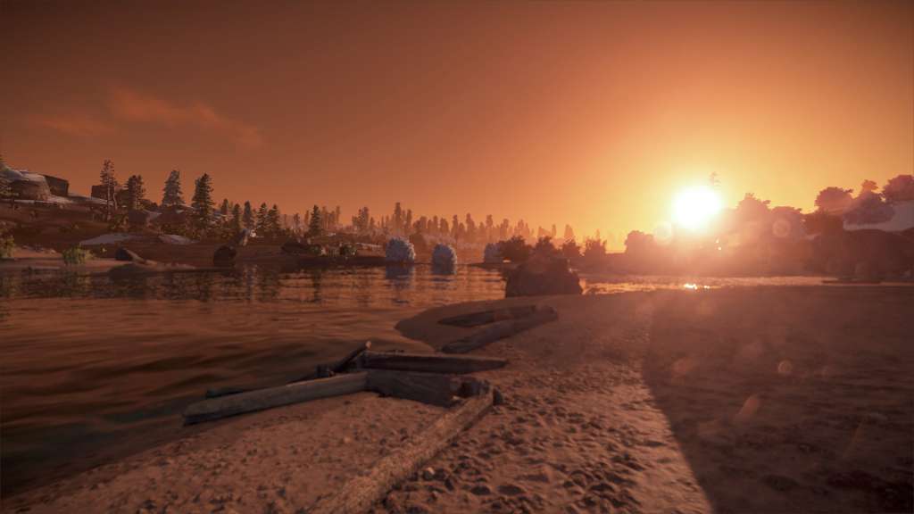 RUST Steam Gift