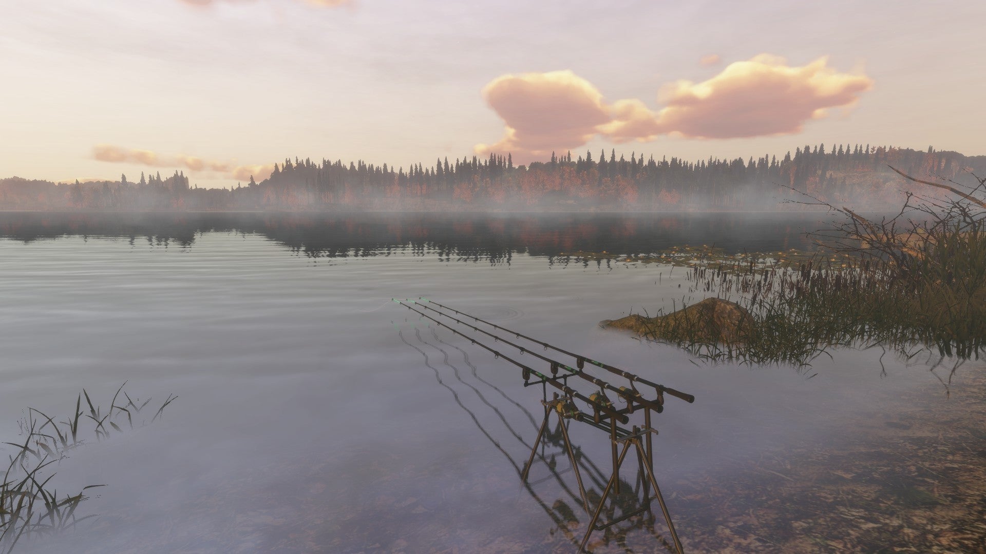 Fisher Online PC Steam Account