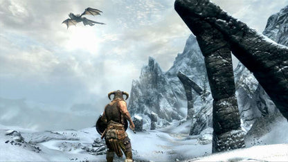The Elder Scrolls V: Skyrim PL Language Only PC Steam CD Key
