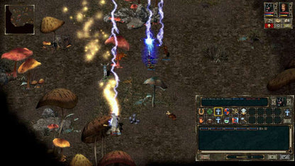 Beyond Divinity Steam CD Key