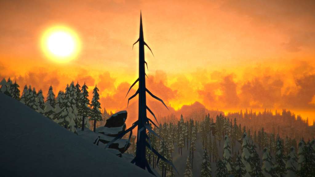The Long Dark PC Steam Gift