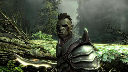 The Elder Scrolls V: Skyrim EU PC Steam CD Key