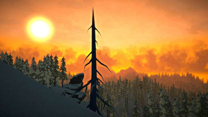 The Long Dark PC Windows 10/11 Account