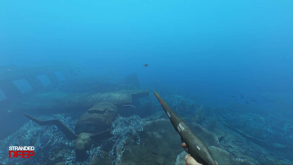 Stranded Deep PS4/PS5 Account